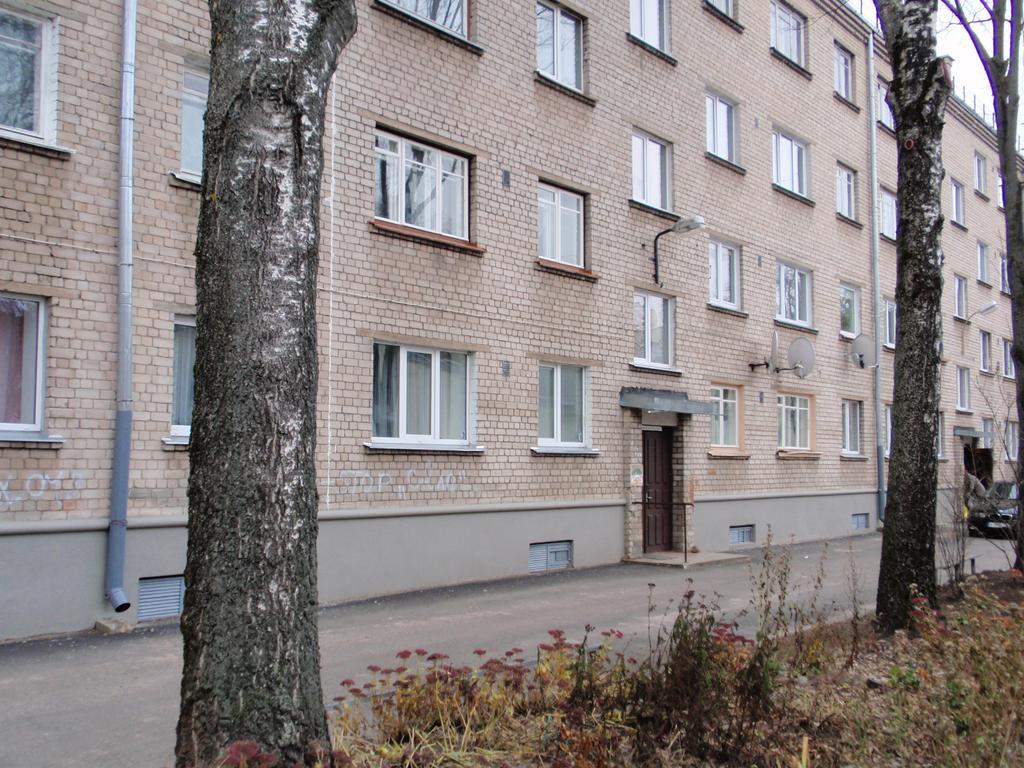 Central Cietoksna Street Apartment 다우가프필스 외부 사진